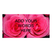 Pink Roses Picture Card