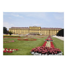 Pink Schonbrunn Castle, Vienna, Austria flowers Personalized Invitations