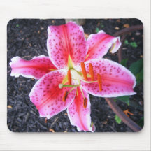 Pink Stargazer  Lily Mouse Mats