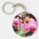 Pink Striped Phalaenopsis Orchids Key Chain