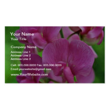Pink Sweet Pea flowers Business Cards