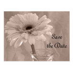 Pink Tinted Daisy Save the Date Announcement Post Card