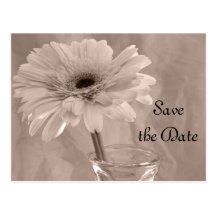 Pink Tinted Daisy Save the Date Announcement Post Card