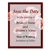 Pink Tipped Carnation Post Card