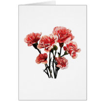 Pink-Tipped Carnations Greeting Cards