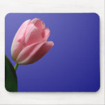 Pink Tulip Mousepad mousepads