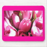 Pink Tulips mousepads