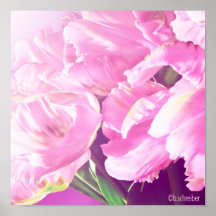 pink tulips poster