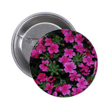 Pink Verbena Flowers Button