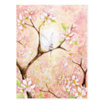 Pink View Blossom Post Card