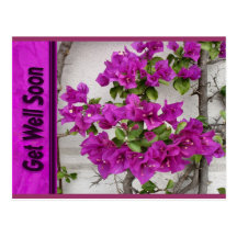 pink vine get well soon postcard