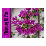 pink vine thinking of you greeting card