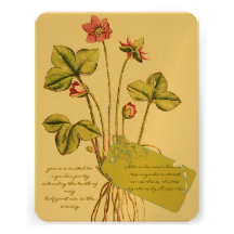 Pink Wild Flower Botanical  Dinner Invitations
