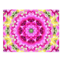 Pinky Pink Flowers Nov 2012 Postcards