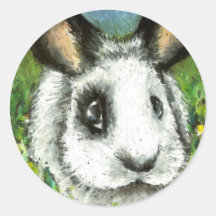 Pirate bunny sticker