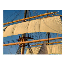 Pirate Ship Mast Postcard