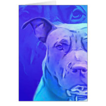 Pit Bull Contemporary Art Cards