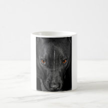 Pit Bull's Eyes (Black and white, colour) Mug