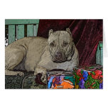Pitbull Christmas Cards Violet