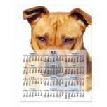 Pitbull dog poster