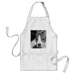 Pitbull puppy apron