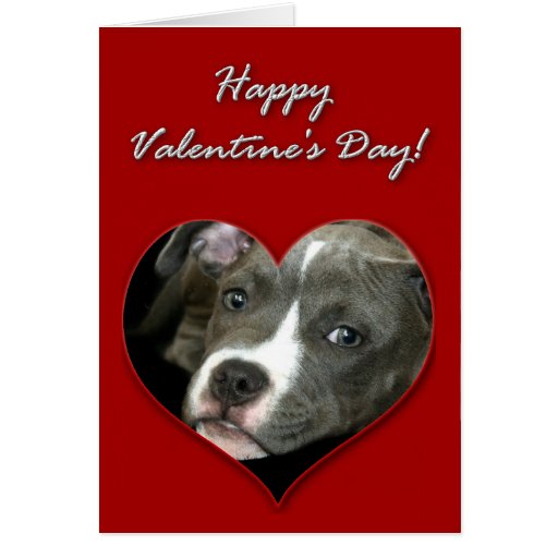 Printable Pitbull Valentines Day Cards