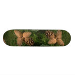 Pitch pine tree fruit (pinus rigida) skateboard deck