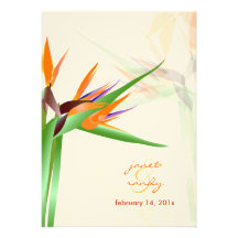 PixDezines Bird of Paradise/diy background colour! Personalized Announcement