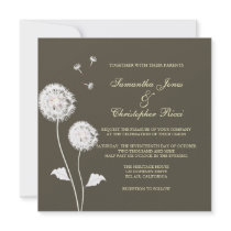 PixDezines Dandelions, diy background colours Personalized Announcement