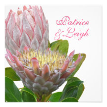 PixDezines fresh maui protea pale pink/diy Personalized Announcement