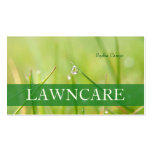PixDezines lawn care/gardener/DIY fonts Business Card Template