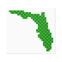 Pixel Florida Gallery Wrapped Canvas