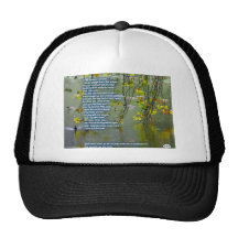 pizap.com10.48642086004838351333573770016 mesh hat
