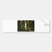 Plain White Tree Bumper Sticker