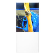 Planes - Great Lakes Sport Trainer Custom Rack Card