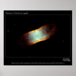 Planetary Nebula IC 4406 Hubble Telescope Photo Posters
