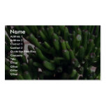 Plant Baby's Toes Business Cards