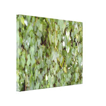 Plant covering stone wall stretched canvas prints