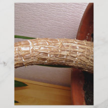 Plant Stem Personalized Flyer