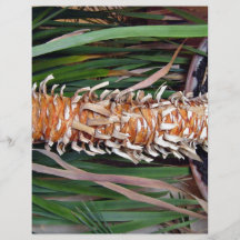 Plant Stem Texture Personalized Flyer