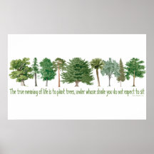 Plant Trees - Tree Lover, Hugger Posters