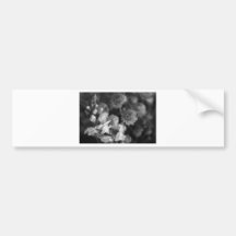 plants bumper stickers