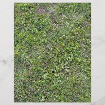 Plants Growing On Green Grassy Landscape Flyer Design