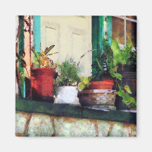 Plants on Porch Fridge Magnet