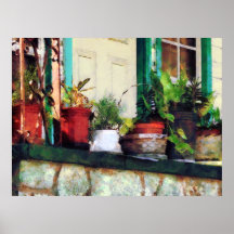 Plants on Porch Print
