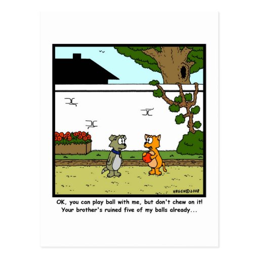 Play Ball: Cat & Dog Cartoon Postcards