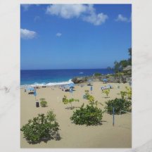 PLAYA ALCIA BEACH SOSUA DOMINICAN REPUBLIC SURF OC CUSTOM FLYER