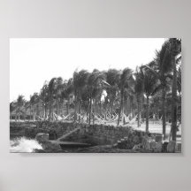 Playa del Carmen, Mexico Posters