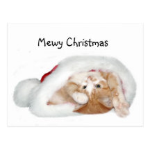 Playful Christmas kitten Postcard