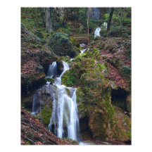 Playful Course Photographic Print
